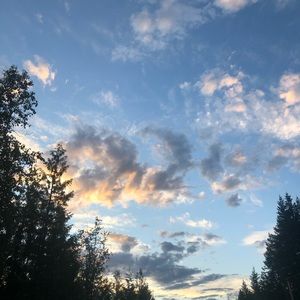 Meet your Posher, Nyla